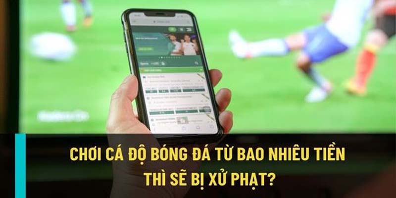 Tìm hiểu việc cá độ bóng đá bao nhiêu thì bị truy tố thật sự quan trọng?